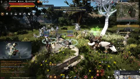 BLACK DESERT ONLİNE STRİKER 520 GS SORU CEVAP 