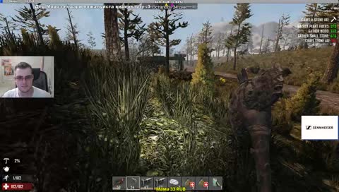 Веселимся с командой Winstrike