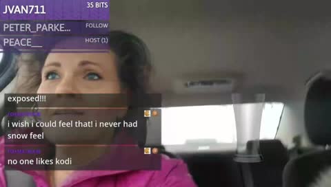 driving around miss daisy