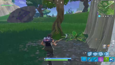 De Regreso y Nueva Escopeta / !sr activo