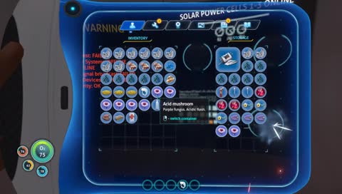 HAVE YOU SEEN MY SON?