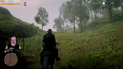 Red Dead Redemption 2 grind. Chapter six of the story.