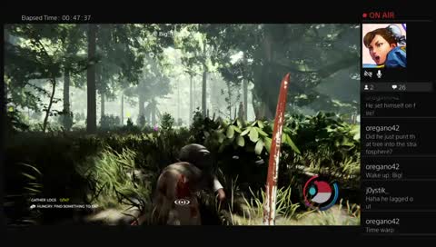 [PS4] The Forest