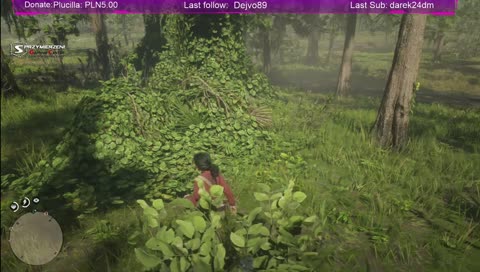 [PS4 Pro] RDR2 Online Ultimate Edition ;) 