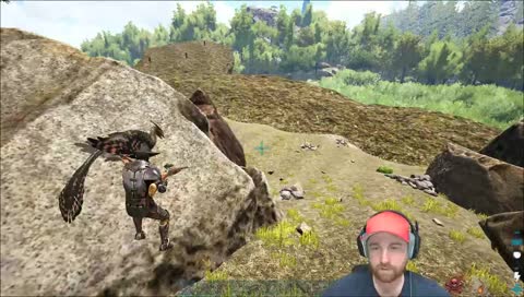 der Alpha Kevin hat gesprochen