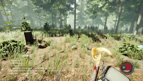 The Forest Solo Survival  