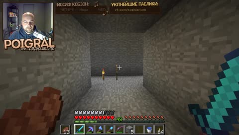 У меня нет вшей (приватный ванильный Minecraft-сервер, 1.13.1)