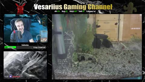 [Chillout Talk] Diverses | Wie trinkst du deinen Kaffee? | Pinselschwingen | Minaturenschmiede | Ynop #diePhantaS 