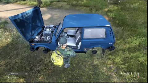 das Harry Potter Auto in dayz