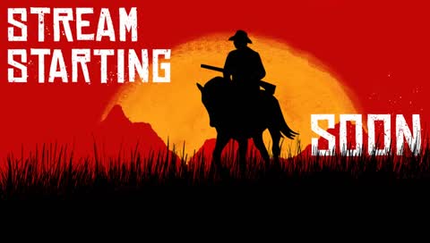 RED DEAD REDEMTION 2 MISSIONS HUNTING FINISHED  STORY