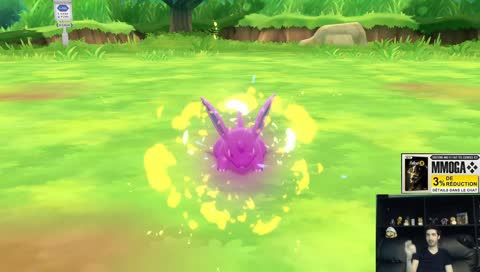 Pokémons Brillants farming