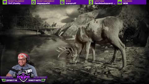 HORSE GANG! GANG! + roasting session GIVEAWAY!