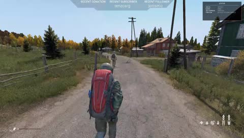 DayZ casual con el team NST