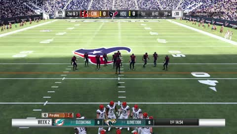 Falcons