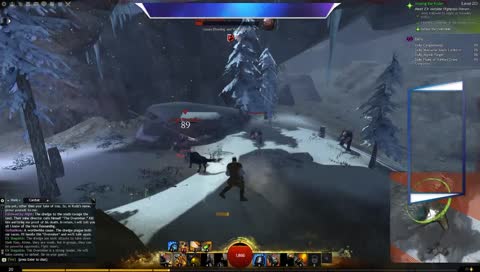 Когда купил GW2 не зная английского.
