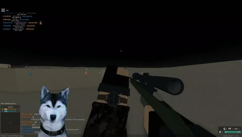A dog plays Phantom Forces with you!