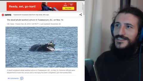 d  a  y    o  n  e  |  canine excrement player  