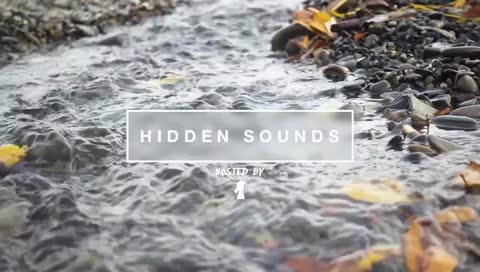 Hidden Stream - Every Thurs @ 2PM ET US