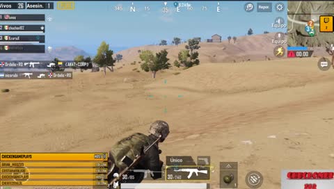 vamos por pollitos..