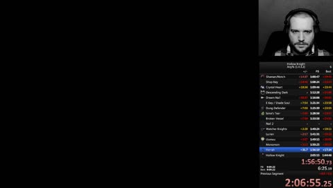 Trash Hollow Knight attempt. [Any% 1.4.3.2 / PC]