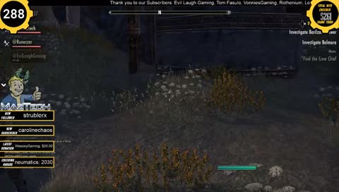 Rune has an itch