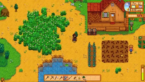 1st time Stardew Valley