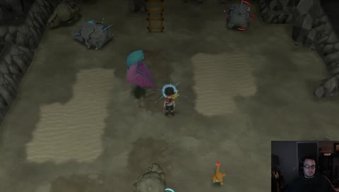 Shiny hunting Rhyhorn