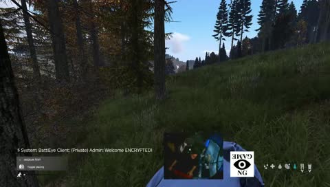 The Lone Survivor | gameng.online