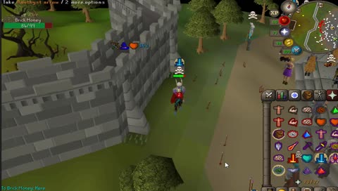 Maxed 75 Def Range Tank PKing