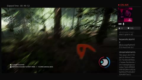 Terrifying Thursday: Into the Forest we go!