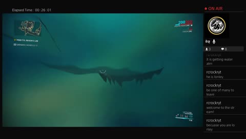 When you are a glitched kitty