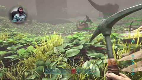 [Aussie] New to ark and new Server/cluster talk looking for another tribe to jojn.. caves prep!! Highly Interactive Stream