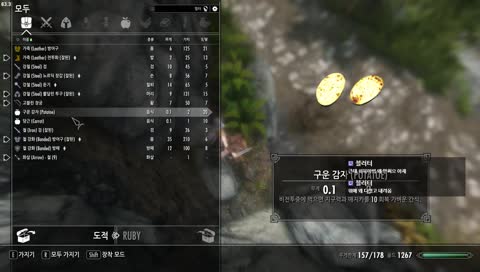 루비스타 게임방송