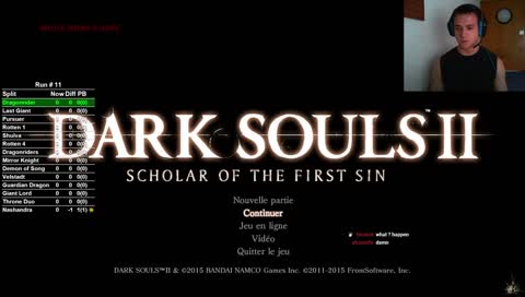 [FR/EN] Hitless any% attempts (PB=1)