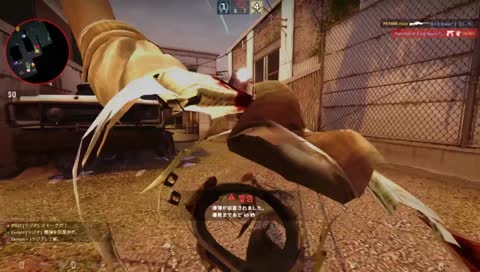 【AEGIS】 CSGO らびさん