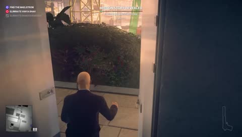 Hitman 2 Messing Around