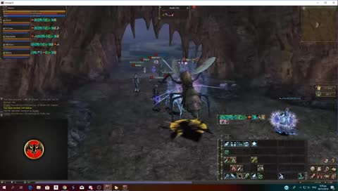 L2 Classic Giran Ant nest