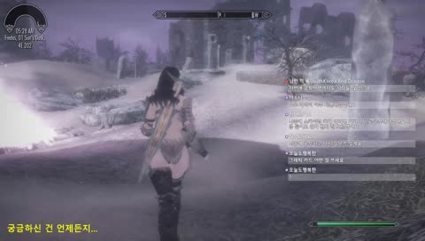 스카이림(SKYRIM) 동네북 도바퀸_20181130