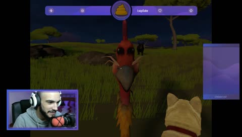 VR Chat Furry Edition (づ｡◕‿‿◕｡)づ