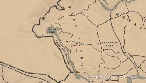 RED DEAD ONLINE! CARRERAS!