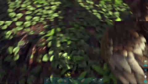 24 hour charity live stream