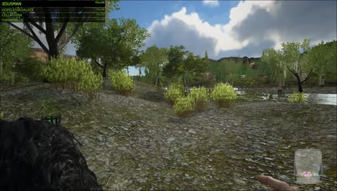 Gunsmoke RP: Savanna Skinner jailtime