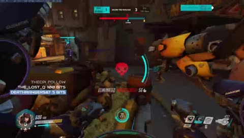 Rein's fixed