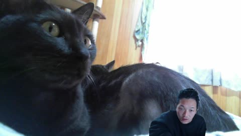 Ultima Online 日本DUEL大会１位のプロHJM36歳のゲーム配信