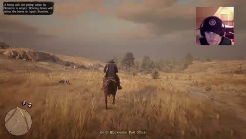 Dildo Boys (insert western accent)