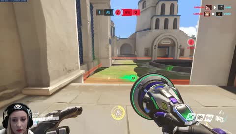 ???????? hamster wyd