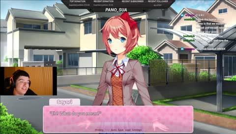 stream4fun\\ doki doki various games stupid