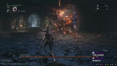 블러드본 모독 감시견 노강 트라이