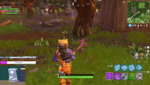 Форточный лох