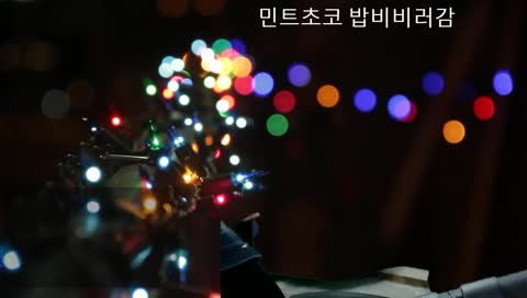 민트초코 쿼터에 전부다 담음